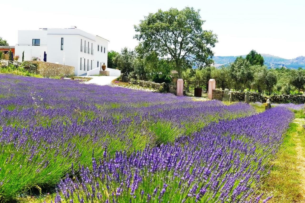 Quinta Das Lavandas Каштелу-ди-Види Экстерьер фото